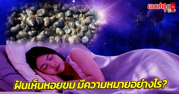 ฝันเห็นหอยขม-"Dream of seeing periwinkle"
