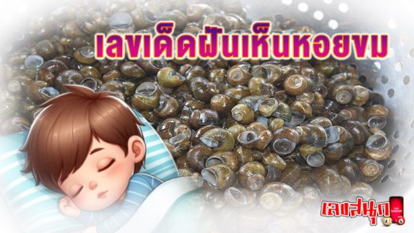 ฝันว่าได้จับหอยขม-"Dreamed of catching periwinkle"