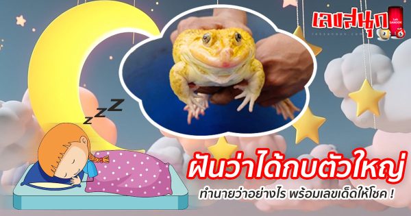 ฝันว่าได้กบตัวใหญ่-"fun numbers beliefs"