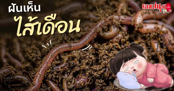 ฝันเห็นไส้เดือน -"Dream of seeing earthworms"