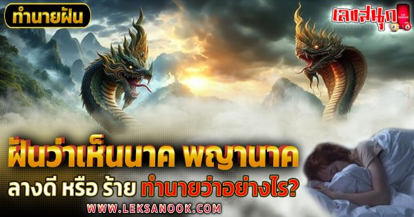 ฝันว่าเห็นนาค -"fun numbers beliefs"