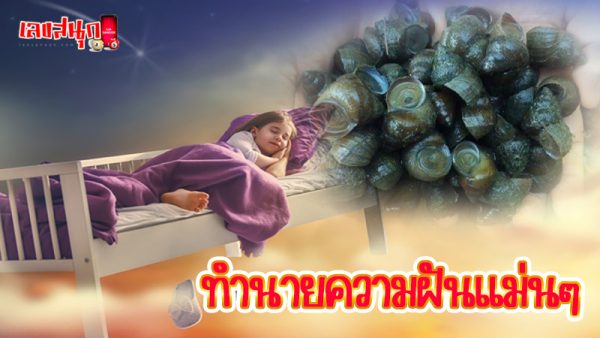ฝันเห็นหอยขม-"Dream of seeing periwinkle"