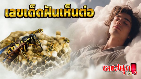 ฝันเห็นรังต่อบนต้นไม้ -"Dream of seeing a wasp's nest on a tree"