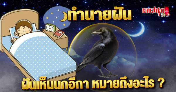 ฝันเห็นนกอีกา-"Dreaming of a crow"