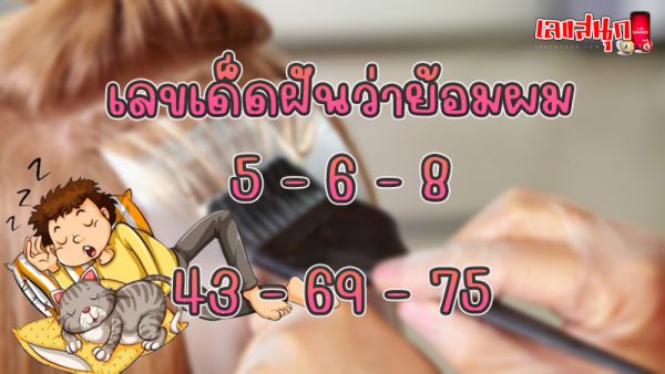 ฝันว่าย้อมผมหลายสี-"Dreaming of dyeing your hair many colors"