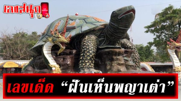 ฝันเห็นพญาเต่า เลขเด็ด -"Dreaming of seeing Phaya Tao, lucky numbers"