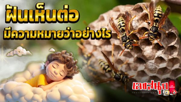 ฝันเห็นต่อ -"Keep dreaming"