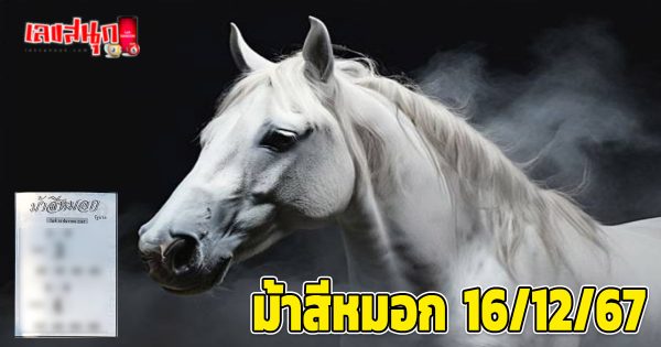 ม้าสีหมอก 16 12 67 -"Foggy Horse 16 12 67"