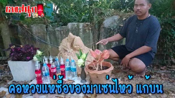 จอมปลวกหน้าคน -"Human-faced termite mound"