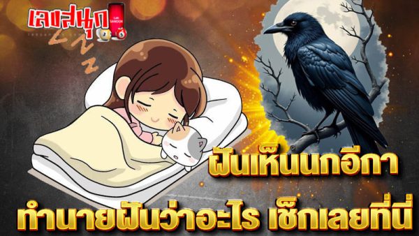 ฝันเห็นนกอีกา-"I dreamt of seeing one crow."