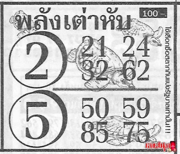 เลขพลังเต่าหับ 2 01 68-"Turtle power number 2 01 68"