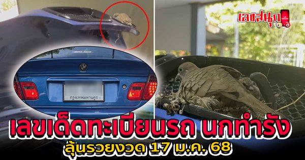 ทะเบียนรถ นกทำรัง - "Car registration bird nest"
