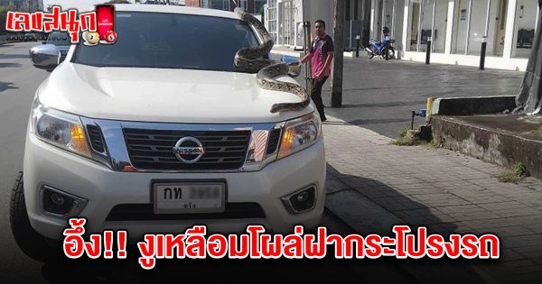 เลขทะเบียนรถ 1/2/68-"Car registration number 1-2-68"