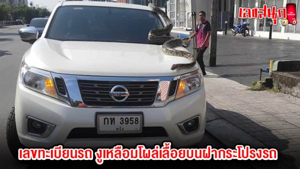 รูปภาพ เลขทะเบียนรถ ของ heng99