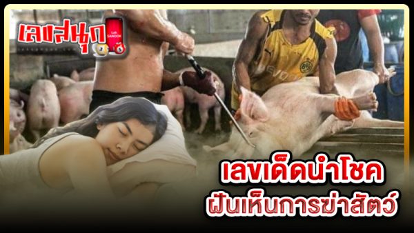 ฝันเห็นการฆ่าสัตว์ เลขเด็ด -"Dream about killing animals, lucky numbers"