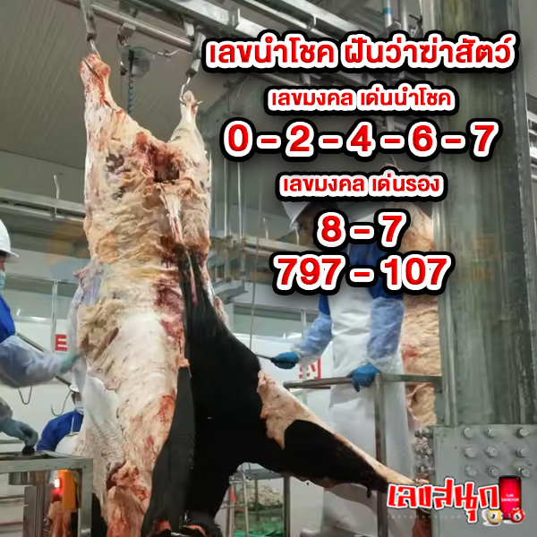 ฝันว่า ฆ่าสัตว์เลื้อยคลาน-"Dream about killing reptiles"
