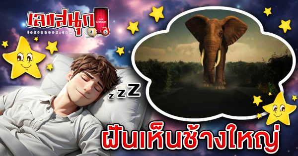 ฝันเห็นช้างใหญ่ -"fun numbers beliefs"