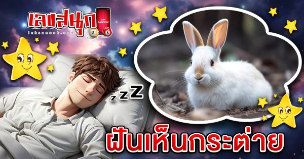 ฝันเห็นกระต่าย-"fun numbers beliefs"