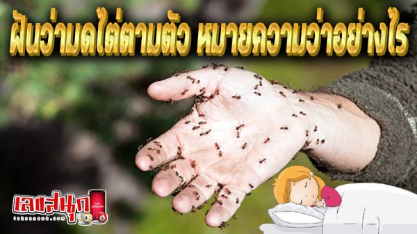 ฝันว่ามดไต่ตามตัว-''Dreaming of ants crawling on you''