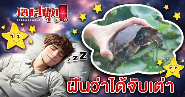 ฝันว่าได้จับเต่า-"Dreaming of catching a turtle"