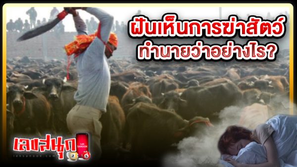ฝันเห็นการฆ่าสัตว์ -"Dreaming of killing animals"