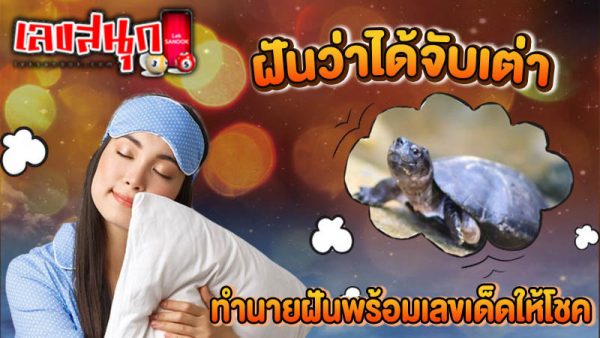 ฝันว่าได้จับเต่า-"I dreamed that I caught a big turtle."