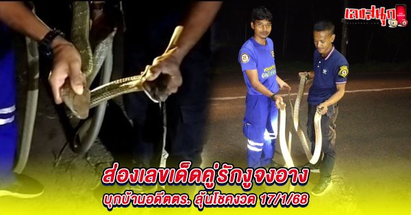 เลขงูจงอาง 17/1/68-"famous people's fun numbers"