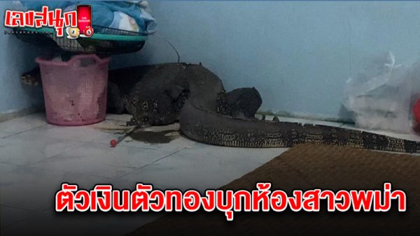 เลขตัวเงินตัวทองเข้าห้อง 1/2/68-"Golden numbers entering the room 1-2-68"