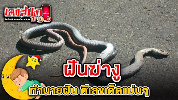 รูปภาพฝันฆ่างูของ lekdedonline