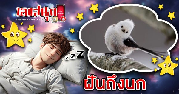 ฝันถึงนก-"Dreaming of a bird"