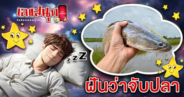 ฝันว่าจับปลา - "Fun Numbers Belief"