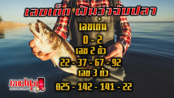 รูปภาพเลขเด็ดฝันว่าจับปลาของ heng99