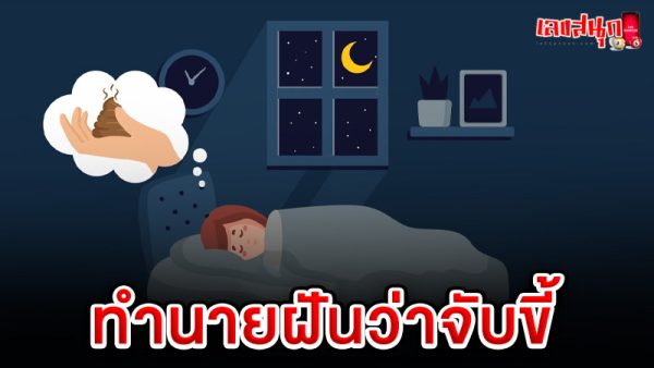 รูปภาพทำนายฝันว่าจับขี้ของ lekdedonline