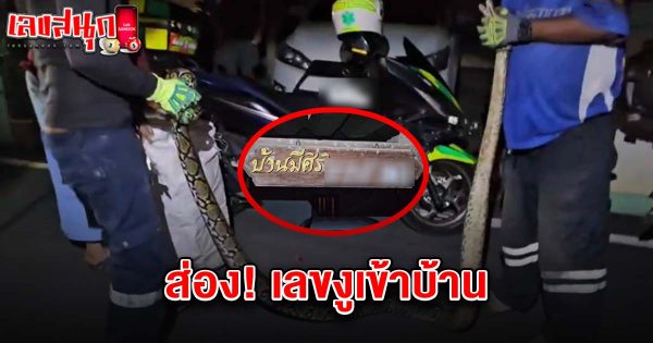 เลขงูเข้าบ้าน 16/2/68-"Snake number entering the house 16-2-68"
