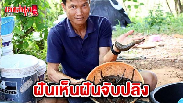 รูปภาพจับปลิงของ heng99
