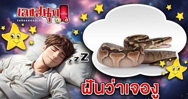 ฝันเจองู -"Dreaming about seeing a snake"