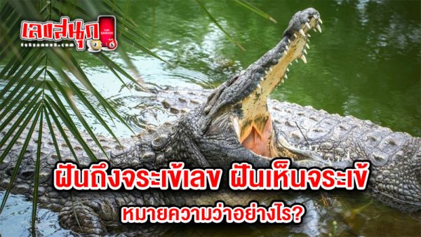 รูปภาพฝันถึงจระเข้เลขของ heng99