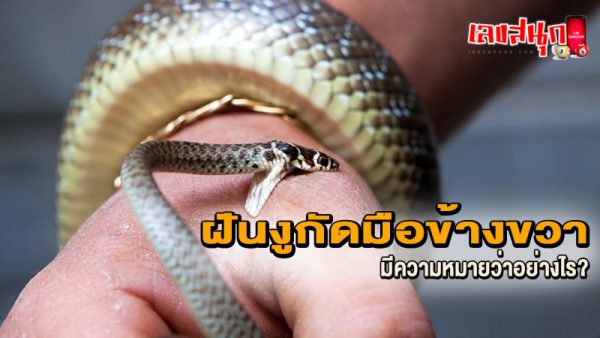 รูปภาพฝันงูกัดมือข้างขวาของ heng99