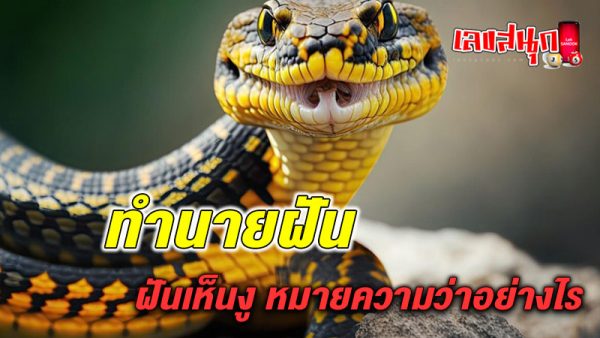 รูปภาพทำนายฝันเห็นงูของ lekdedonline