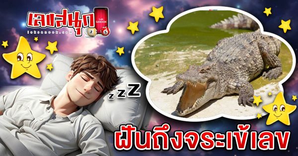 ฝันถึงจระเข้เลข - "Fun Numbers Belief"