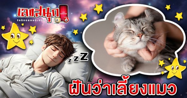ฝันเลี้ยงแมว-"Dreaming of raising a cat"