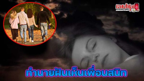 รูปภาพฝันเห็นเพื่อนสนิทของ heng99