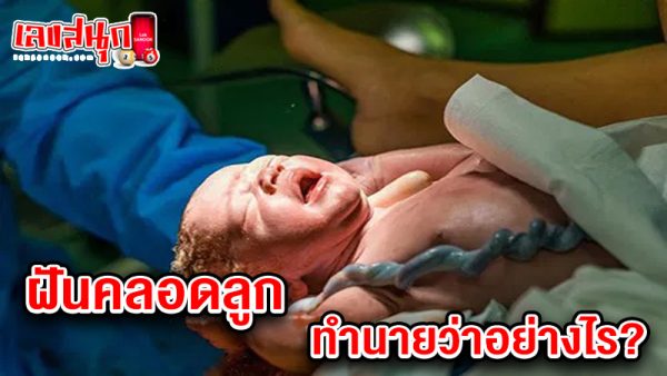 รูปภาพฝันคลอดลูกของ heng99