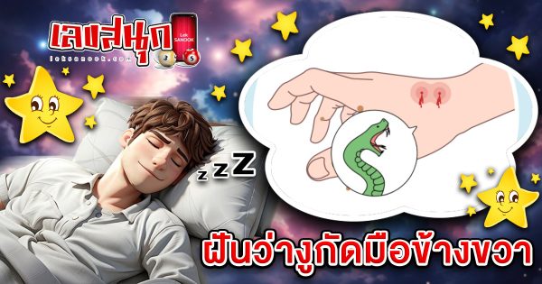 ฝันงูกัดมือข้างขวา-"I dreamed that a snake bit my right hand"