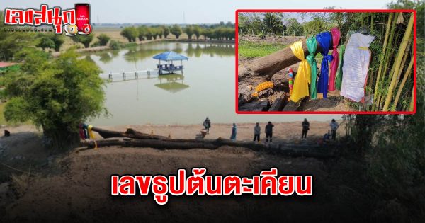 เลขธูปต้นตะเคียน 16/3/68-"Incense stick numbers from the Takian tree: 16/3/68"