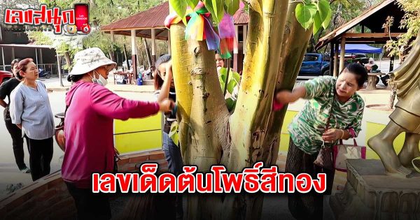เลขเด็ดต้นโพธิ์สีทอง 1/4/68-"Lucky numbers from the golden bodhi tree 1-4-68"