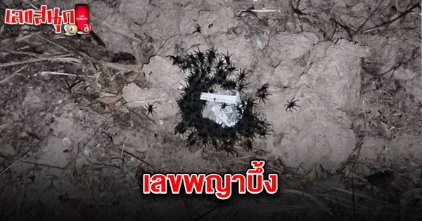 เลขพญาบึ้ง 1/4/68 - "Famous fun numbers"
