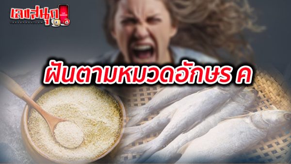 รูปภาพฝันตามหมวดอักษร คของ lekdedonline