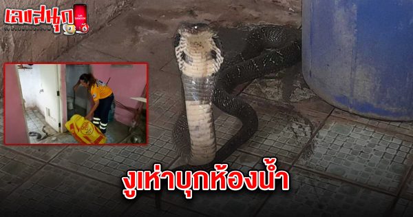 เลขงูเห่าเข้าบ้าน 2/5/68 - "Famous fun numbers"