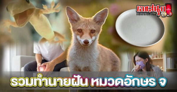 ทำนายฝัน หมวดอักษร จ - "Fun Numbers Belief"
